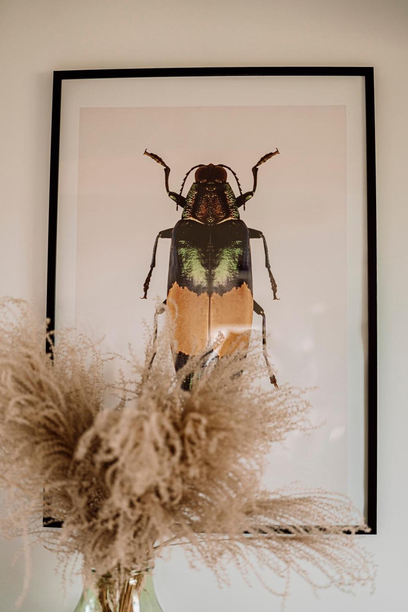 Prawdziwe Morze Villa Sasino Buitenkant foto